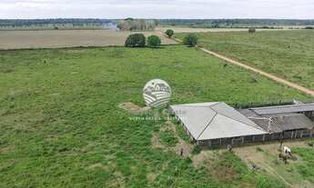 Imagem: Itapuã do Oeste - Fazenda - 50 alqueires