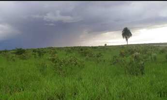 Imagem 3: Fazenda em Ribas do Rio Pardo MS