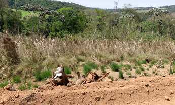 Imagem 7: Quer adquerir seu terreno