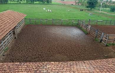 Imagem 6: PRESIDENTE BERNARDES - RURAL - Zona Rural