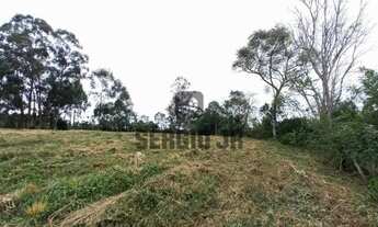 Imagem 5: Área de terra com 1,3h em Triunfo