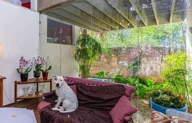 Imagem 2: São Paulo - Casa Padrão - Morumbi