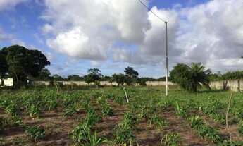Imagem 7: Área com 6.400m², no Distrito industrial de Macaíba, em Macaíba/RN