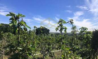 Imagem 5: área - Vila Saltinho - Campinas