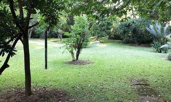 Imagem 6: Terreno no Miolo da Granja Viana