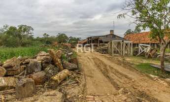 Imagem 3: Porto Alegre - Terreno Padrão - Ponta Grossa