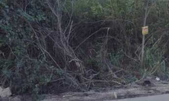Imagem 4: Com 500m² FRENTE Estrada dos Cajueiros (Itaipuaçu) - Maricá - Rio de Janeiro