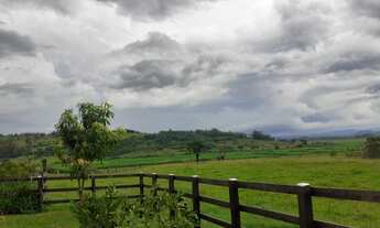 Imagem 3: Fazenda Própria para Pecuária com 4 Casa e Galpão em Santo António da Patrulha