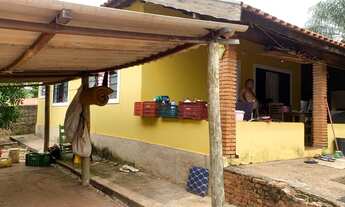 Imagem: Fazenda/Sítio/Chácara para venda tem 531