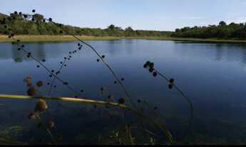 Imagem 5: Fazenda em Ribas do Rio Pardo MS