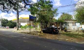 Imagem 6: TERRENO 285m² BAIRRO BELÉM VELHO