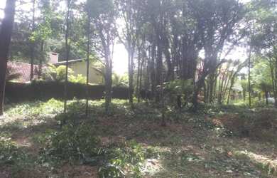 Imagem 7: Gramado - Terreno Padrão - Mato Queimado