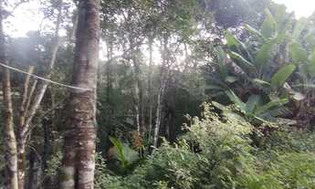 Imagem 5: Chácara 97 mil reais baixou 11 9 3329-5660