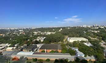 Imagem 7: Apartamento para aluguel ou venda com 234 metros e 4 suítes