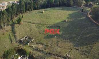 Imagem 5: PRÉ LANÇAMENTO