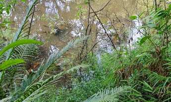 Imagem 3: Sítio 20.000m2 ARTUR NOGUEIRA a 2,5 km da cidade oportunidade ótima localização