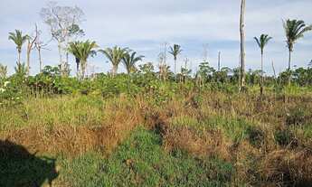 Imagem 3: Sitio medindo 450 de frente por 700 de fundo