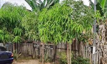 Imagem 5: Vendor essa casa no Ulisses perto do simsepol rua das flores número 48aceito propostas