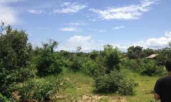 Imagem 3: Lote agrotins 8mil metros quadrados