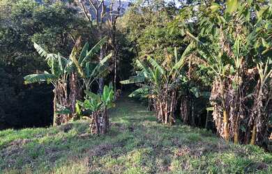 Imagem 5: Terreno para venda possui 4800 metros quadrados em Sapucaí-Mirim - MG