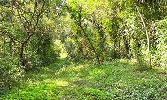 Imagem 7: ÚLTIMO SÍTIO COM RIACHO EM MORUNGAVA