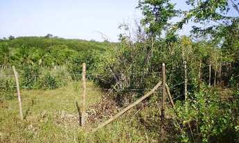 Imagem 5: Terrenos em Pium, próximos a Praia de Cotovelo !