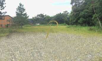 Imagem: JOINVILLE - Terreno Padrão - Pirabeiraba