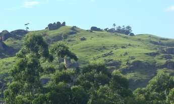 Imagem 4: Terreno de 270 ha para pecuária - ImaruíSC