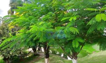 Imagem 5: Flat com muito lazer ..