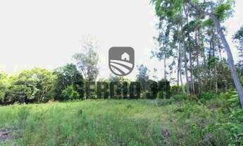 Imagem 5: Área de terra com 3.600m² em Eldorado do Sul - Aceito parcelamento