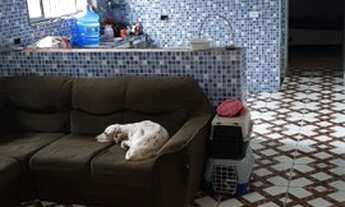 Imagem 3: Vende se uma casa