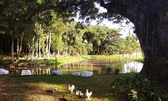 Imagem: Sitio com uma Casa Simples em Taquara na