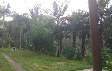 Imagem 2: Chácara 02 dorms com 2032m² (Água Soca