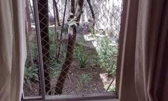 Imagem 2: APARTAMENTO - VILA PEREIRA CERCA - SP