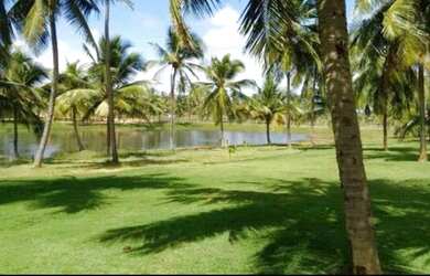 Imagem 2: Lt; Condomínio Thai Oportunidade!!