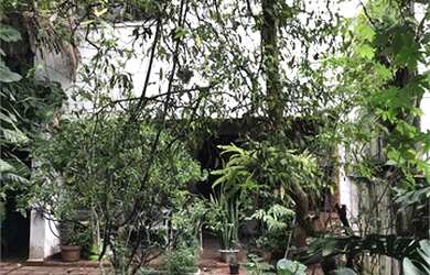 Imagem 3: São Paulo - Casa Padrão - VILA MARIANA