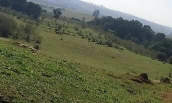 Imagem 6: Sítio 2 alqueires no Santa Adelaide em Tatuí-SP !! Oportunidade