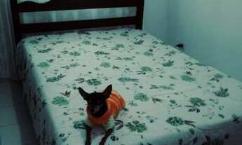 Imagem 6: Alugo Casa Sobreposta Baixa, 02 dormitórios, Japuí, São Vicente