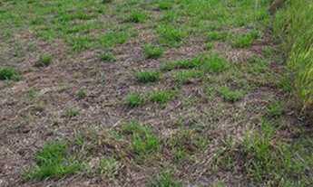 Imagem 1: Chácara Chácara com venda por R$65.000