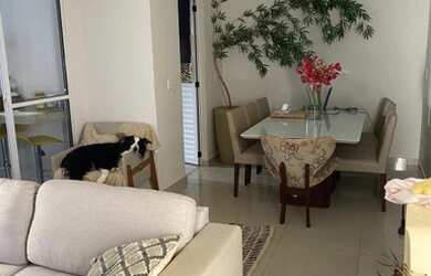 Imagem 6: Casa no condomínio terra nova