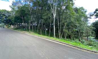 Imagem 6: Gramado - Terreno Padrão - Floresta