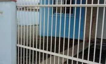 Imagem 4: Germinado no Morro do Meio