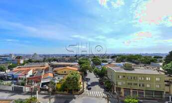 Imagem 6: Ipiranga Ótimo Apartamento!