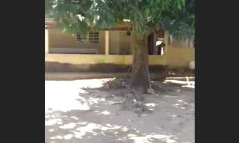 Imagem: Vendo chácara