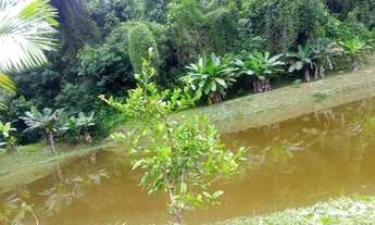Imagem: Achou sua sonhada chácara 4900 mts lagao