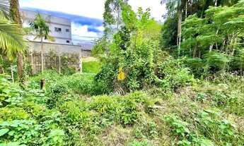 Imagem 5: Terreno com grande potencial para investimento