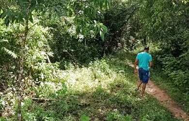 Imagem 2: Sitio Chácara com venda por R$80