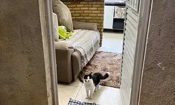 Imagem 2: Casa 4 cômodos Casa com 2 dormitórios