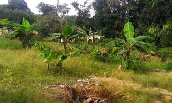 Imagem 3: Fazenda/Sítio/Chácara para venda com 7000 metros quadrados com 2 quartos