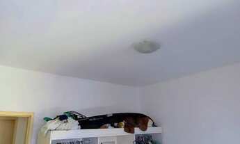 Imagem 6: Vendo, 2/4, Nascente, Pituba!